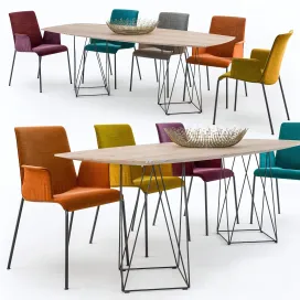 Walter knoll liz chair joco table